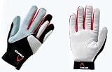 Sporting Goods : Head '04 Ballistic Racquetball Glove