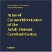 Atlas of Cytoarchitectonics of the Adult Human Cerebral Cortex: With Full-Scale Reproductions of the Original 112 Microphotographic Plates