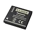 Panasonic DMW-BCF10E Akku f�r FX700 und FS15/FS7/FS6