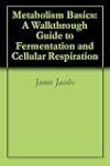Metabolism Basics: A Walkthrough Guid...