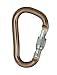 Black Diamond Rocklock Screwgate Carabiner One Color, One Size