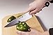 Wusthof Classic 10-Inch Cook's Knife