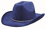 Blue Cowboy Hat