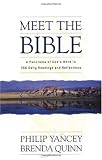 Meet the Bible: A Panorama of God's Word in 366 Daily Readings and Reflections