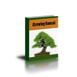 Growing Bonsai