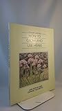 How to grow and use herbs