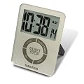 Salter Silver Glass Electronic Timer