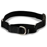 PetSafe Martingale Collar with Quick Snap Buckle, 3/8" Petite, Black