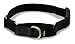 PetSafe Martingale Collar with Quick Snap Buckle, 3/4