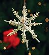 Patience Brewster Krinkles Snowflake Fairy Christmas Ornament