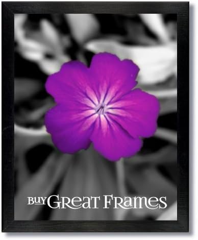 Set of 12 - 9x12 Gallery Black Wood Pictures Frames and Clear Glass