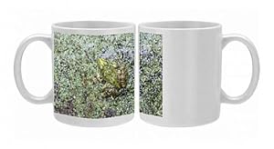 Iberian Marsh Frog - amongst pond weed Photo Mugs
