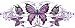 Lethal Threat Decals Purple Butterfly LT00436