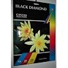 20 Sheets Black Diamond White A4 220gsm Light Canvas Effect Inkjet Printer Paper (Not 100% Cotton Canvas)