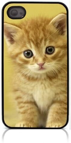 Kitten Cat Pet Hard Plastic and Aluminum Back Case For Apple iphone 4 iphone 4S