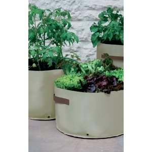 3 Haxnicks Patio Vegetable Planters, Soft Green 