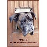 TINO Ein Boxerlebenvon "Sabine Heidner"