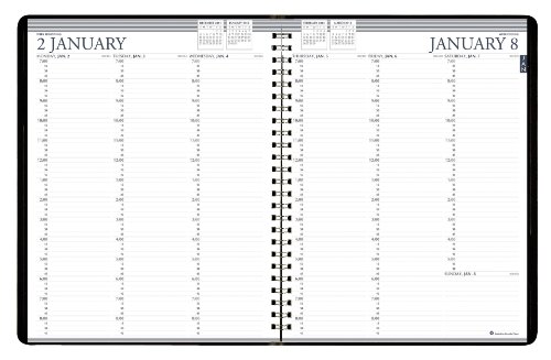 Best Price House of Doolittle Professional Weekly Planner 12 Months January 2012 to December 2012, 8.5 x 11 Inch, Vertical Format, Recycled (HOD27207)