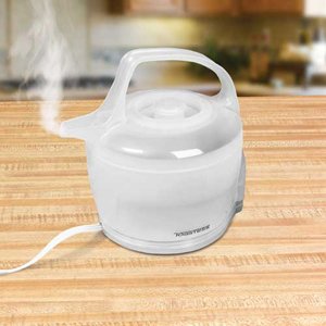 Crystal Clear Cordless Teakettle