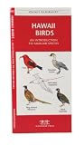 Hawaii Birds: An Introduction to Familiar Species (State Nature Guides)