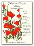 41dImi6Wt2L. SL160  California Poppy Seeds