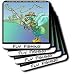 Londons Times Funny Bugs and Slugs Cartoons - Fly Fishing - Coasters