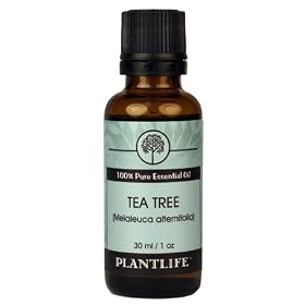 Tea Tree 100% Pure Essential Oil - 30 ml