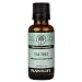Tea Tree 100% Pure Essential Oil - 30 ml