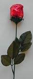 Long Stem Milk Chocolate Roses Gift