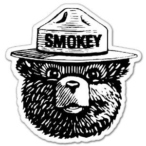 Smokey the Bear Firefighting WILDFIRE sticker 4