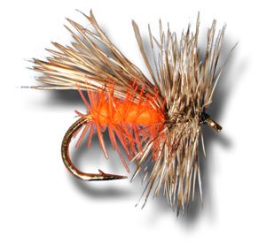 Oregon Orange Caddis Fly Fishing Fly