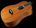 Taylor Guitars Baby Taylor, BT2, Mahogany, Natural