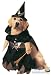 Pet Witch Dog Halloween Costume For Small Dogs