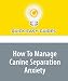 How To Manage Canine Separation Anxiety: Canine Separation Anxiety Can Make Your Dog Destructive