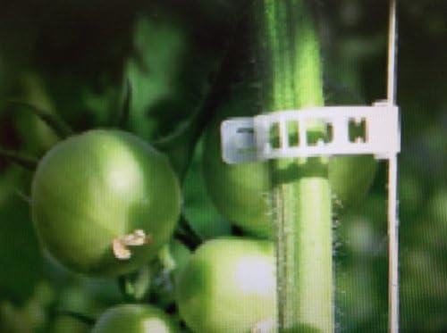 250 - Tomato Clips 23mm - . It is a fast way to trellis up tomatoes, cucumbers, peppers and other veggies.