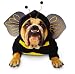 Costumes For All Occasions PM858010 Zelda Bee Pet Medium