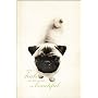 Beautiful Pug Large Notebook with Elastic by New Holland