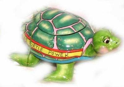 Turtle Power T-Lite - Sky 2006