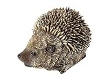 SPIKE Hedgehog Baby