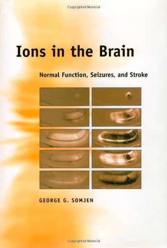 ions in the brain normal function seizures and stroke