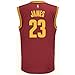 LeBron James Cleveland Cavaliers #23 NBA Youth Road Jersey Wine