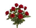 Allstate FBR947-RE 14.5 in. Rose Bush Red- Case of 6