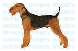 Pet Supplies : AIRDALE TERRIER - Dog Decal - sticker dogs car window