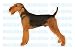   - AIRDALE TERRIER - Dog Decal - sticker dogs car window