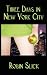 Three Days in New York City