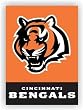 Cincinnati Bengals 2-Sided 28 X 40 House Banner - NFL