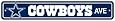 Dallas Cowboys Plastic Street Sign