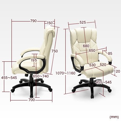 サンワダイレクト プレジデントチェアー ブラック 100-SNC015BK 固定肘 ロッキング調整