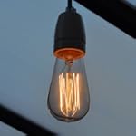 Vintage edison ampoule 40w "Squirrel...