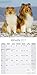 Collie Calendar 2017 - Dog Breed Calendars - 2016 - 2017 wall calendars - 16 Month by Avonside